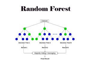 Random Forest