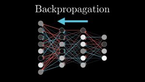 Back-Propagation