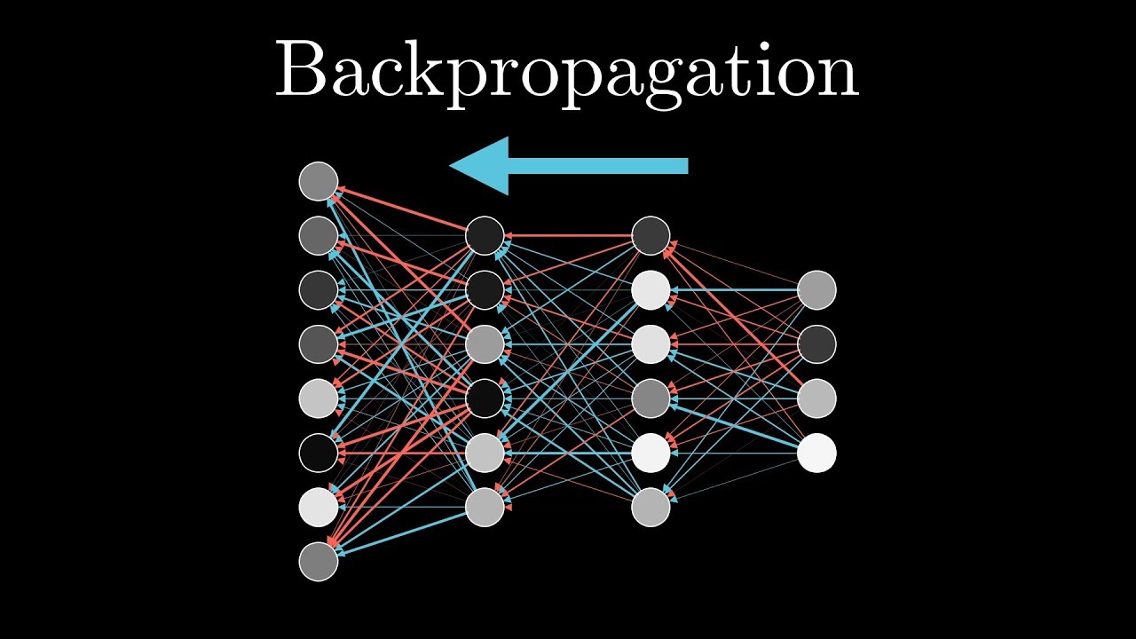 Back-Propagation